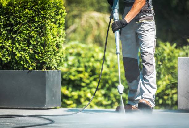 Best Pre-Holiday Cleaning  in Grapeland, TX